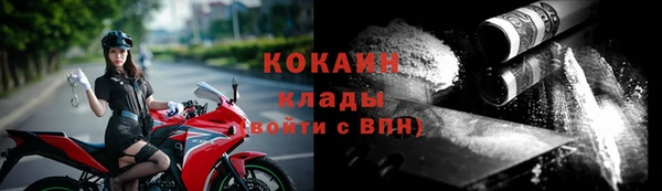 стафф Зерноград