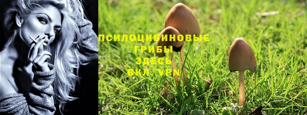стафф Зерноград