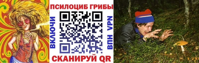 Купить где  Михайловск  Псилоцибиновые грибы ЛСД 